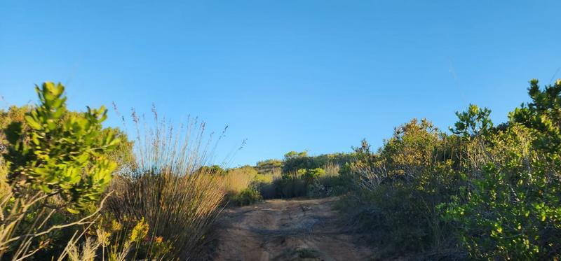 0 Bedroom Property for Sale in Albertinia Western Cape